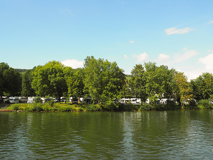 Das Bild zeigt einen Campingplatz auf einer Wiese mit Bäumen direkt an der Mosel. Auf dem Platz stehen einige Campingwagen.
