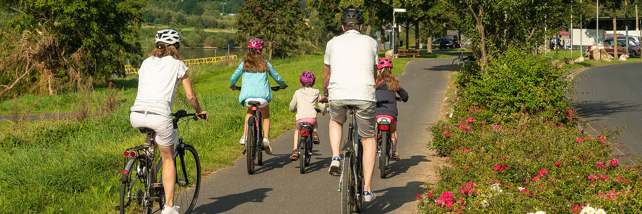 Familienradtour auf dem Mosel-Radweg bei Zeltingen-Rachtig Rückansicht auf eine Familie mit 3 Mädchen während einer Fahrradtour entlang der Mosel mit Blick auf die Weinberg