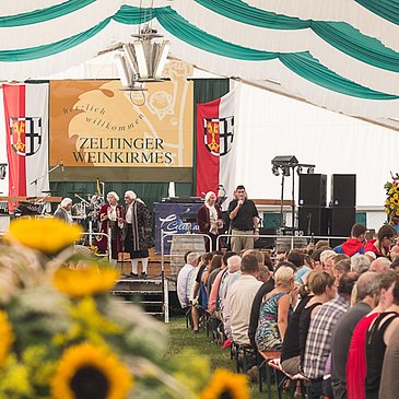 Mittelmosel Weinprobe in Zeltingen