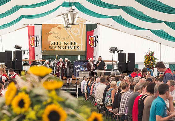 Mittelmosel Weinprobe in Zeltingen