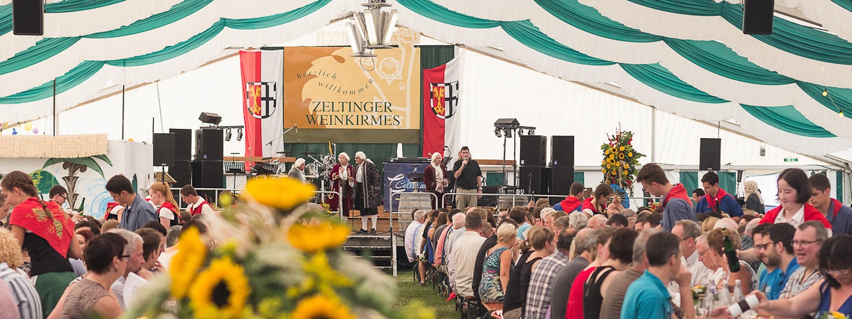 Mittelmosel Weinprobe in Zeltingen
