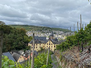 Oberhalb von Bernkastel-Kues