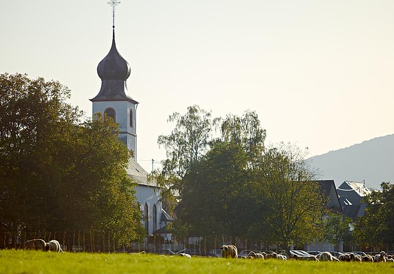 Kirche Brauneberg
