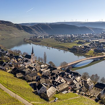 Wandern auf dem Moselsteig bei Piesport