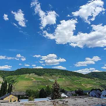 Aussicht_2