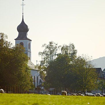 Nussbaumalee Brauneberg
