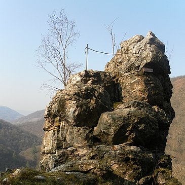 Bischofsmütze