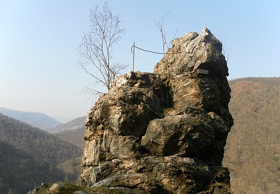 Bischofsmütze
