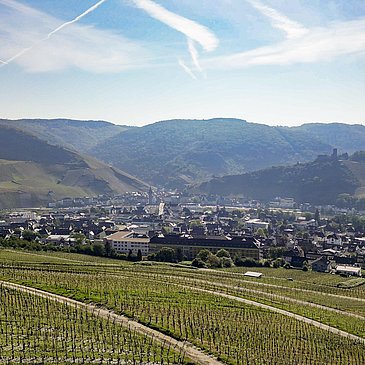Wanderung durch die Weinberge von Kues