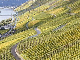 Graacher Weinberge