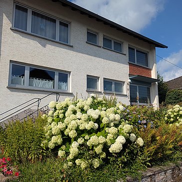 PXL_20260718_080348122