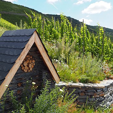 Wunderschöne Insektenhotels inmitten der Weinberge
