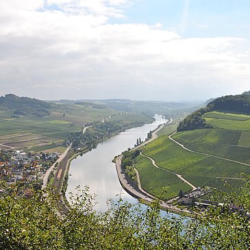 Obermoselpanorama