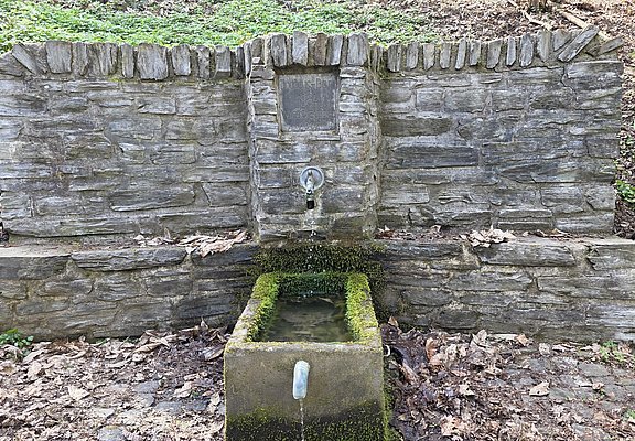 Joducusbrunnen im Wald von Wehlen