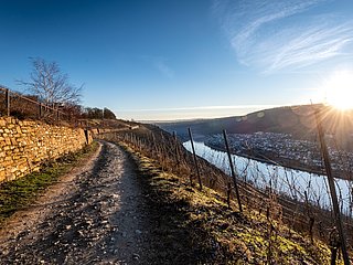 Auf dem Moselsteig bei Winningen