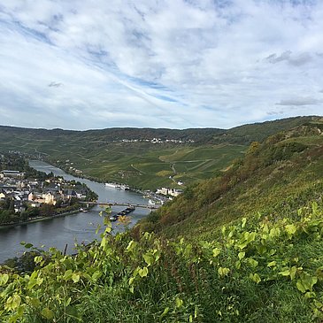 Blick ins Tal