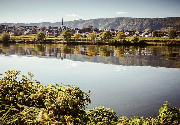 Piesport