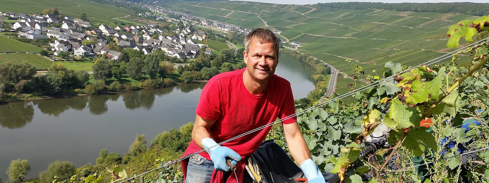 Winzer im Weinberg