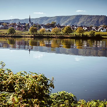 Ausblick auf Piesport