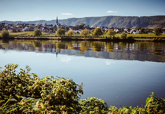Ausblick auf Piesport