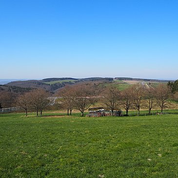 Wald- und Wiesenlandschaft des Hunsrücks
