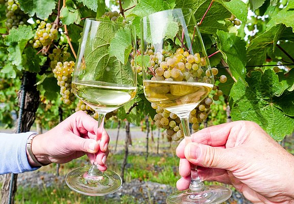 Wein genießen