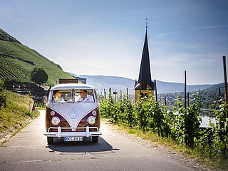 Bulli Tour durch die Weinberge