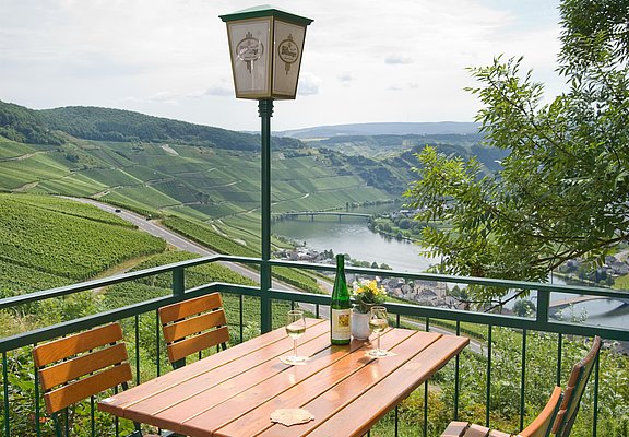 Moselpanorama pur! Foto_Hotel