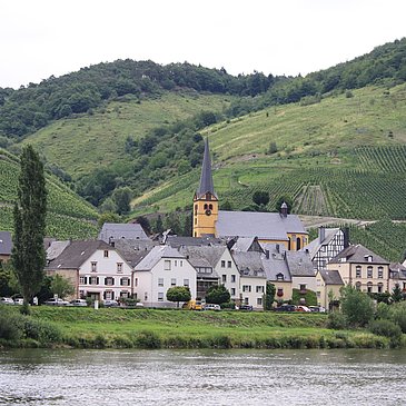 Ortsanischt Zeltingen
