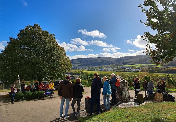 Weinprobenspaziergang in Lieser