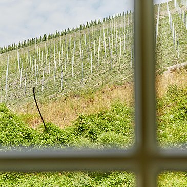 Aussicht aus dem Fenster
