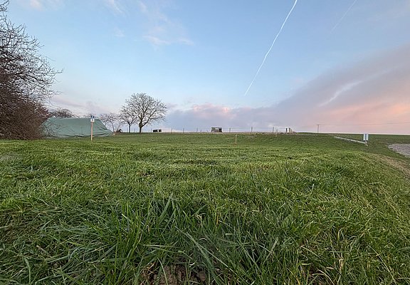 Garten 3