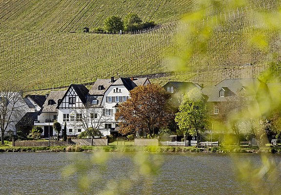 Weingut und Mosel