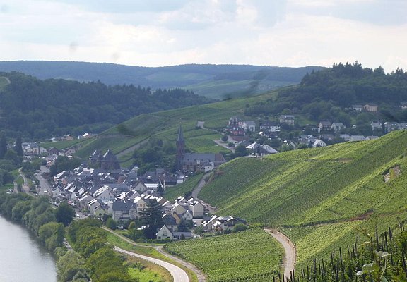 blick-auf-lieser-aus-dem-weinberg--niederberg-held