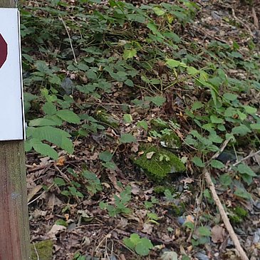 Gleichnamiger Wanderweg - für Geübte ...