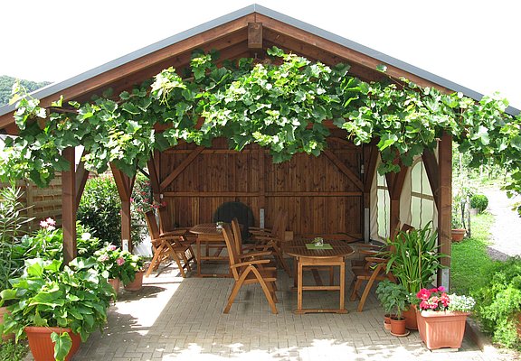Weingut Hammes-Diedrich - Laube