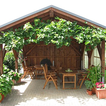 Weingut Hammes-Diedrich - Laube