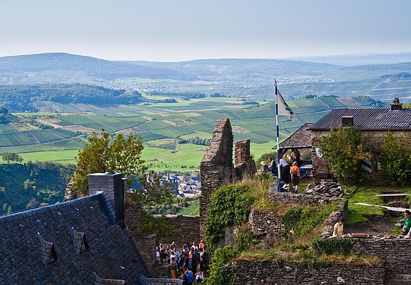 Schloss Veldenz Ausblick