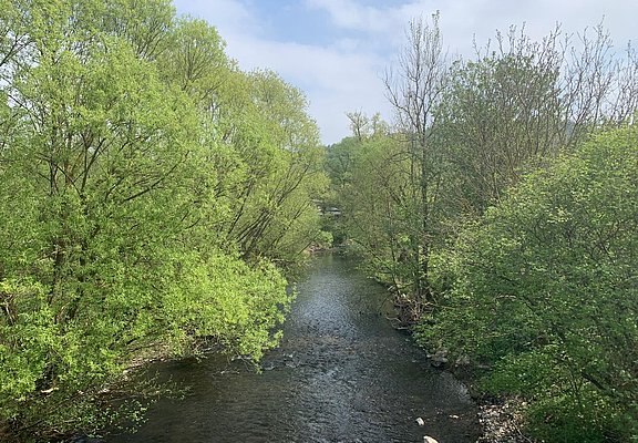 Fluss Lieser