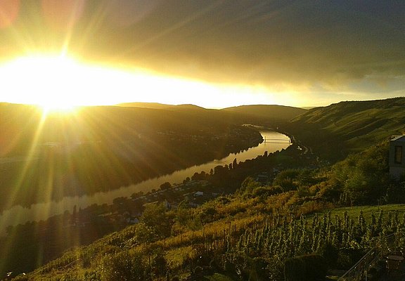 Moselblick