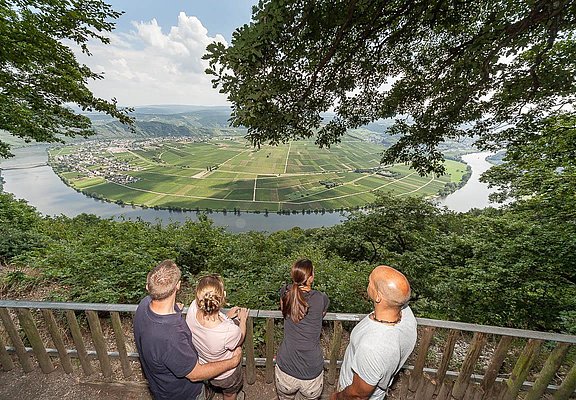Moselblick