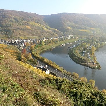 Aussicht auf Senheim mit Hafen