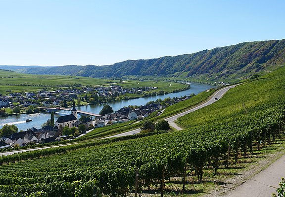 Weinort Piesport an der Mosel