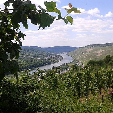 20140531_151615
