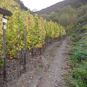 Pfad im Kabeiner Bachtal