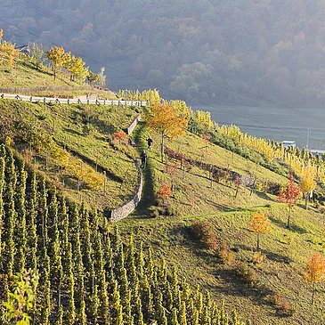 Sortengarten im Herbst