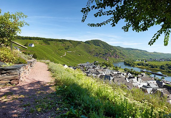 Gewürzgarten in Ürzig