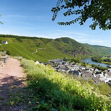 Gewürzgarten in Ürzig