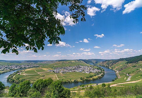 Moselschleife mit Blick auf Trittenheim