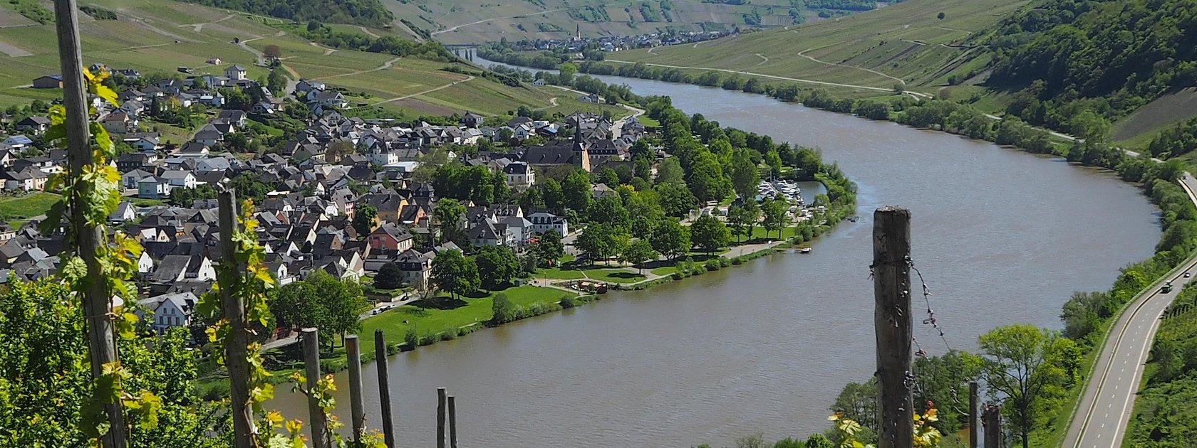 Aussicht auf Neumagen-Dhron